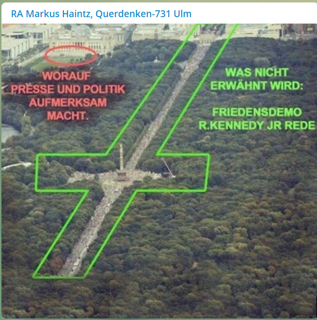 Was Presse und Politik aus der Demo machen